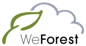 Dazzle Dry Partners with WeForest Project in India