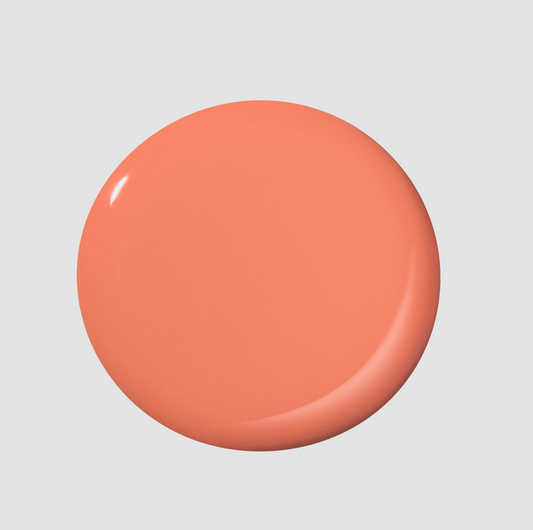 Round Trip Lacquer Color Swatch Dot