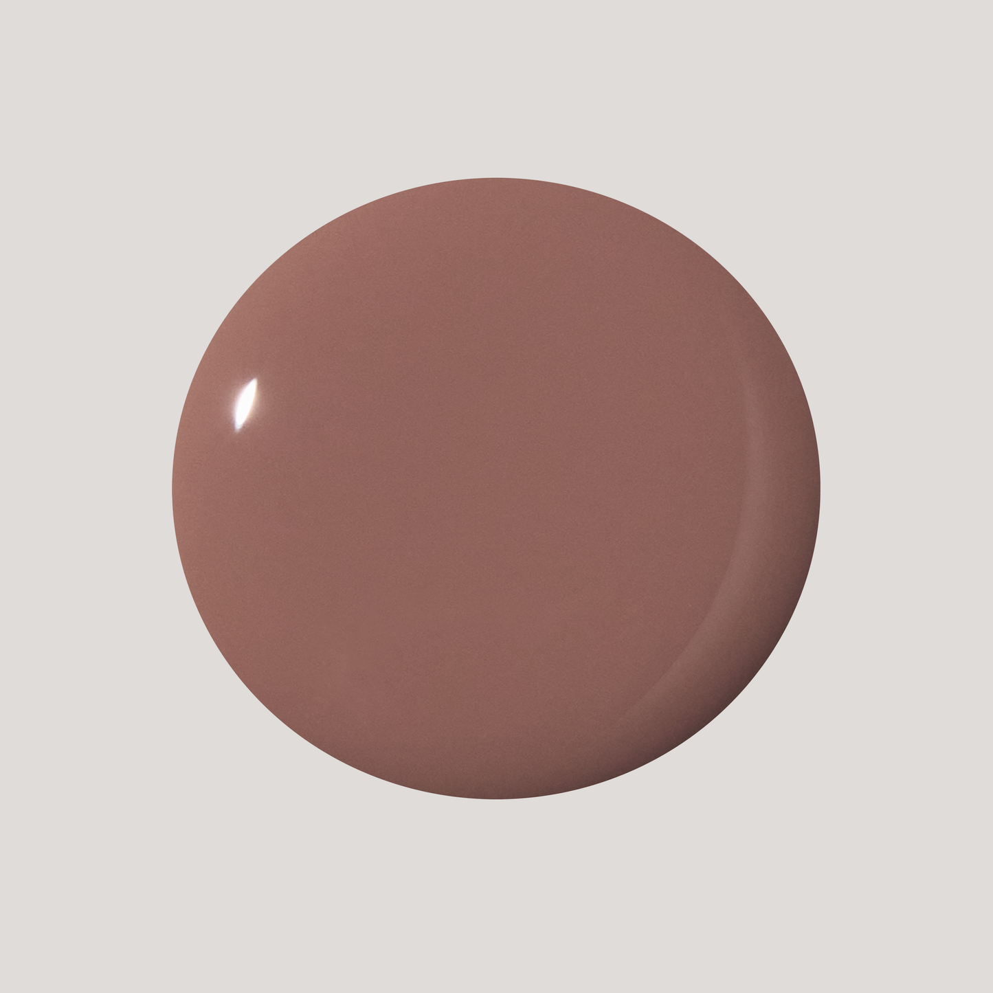 Your Nails But Better Lacquer Color Swatch Dot