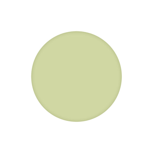 Pistachio Lacquer Dot