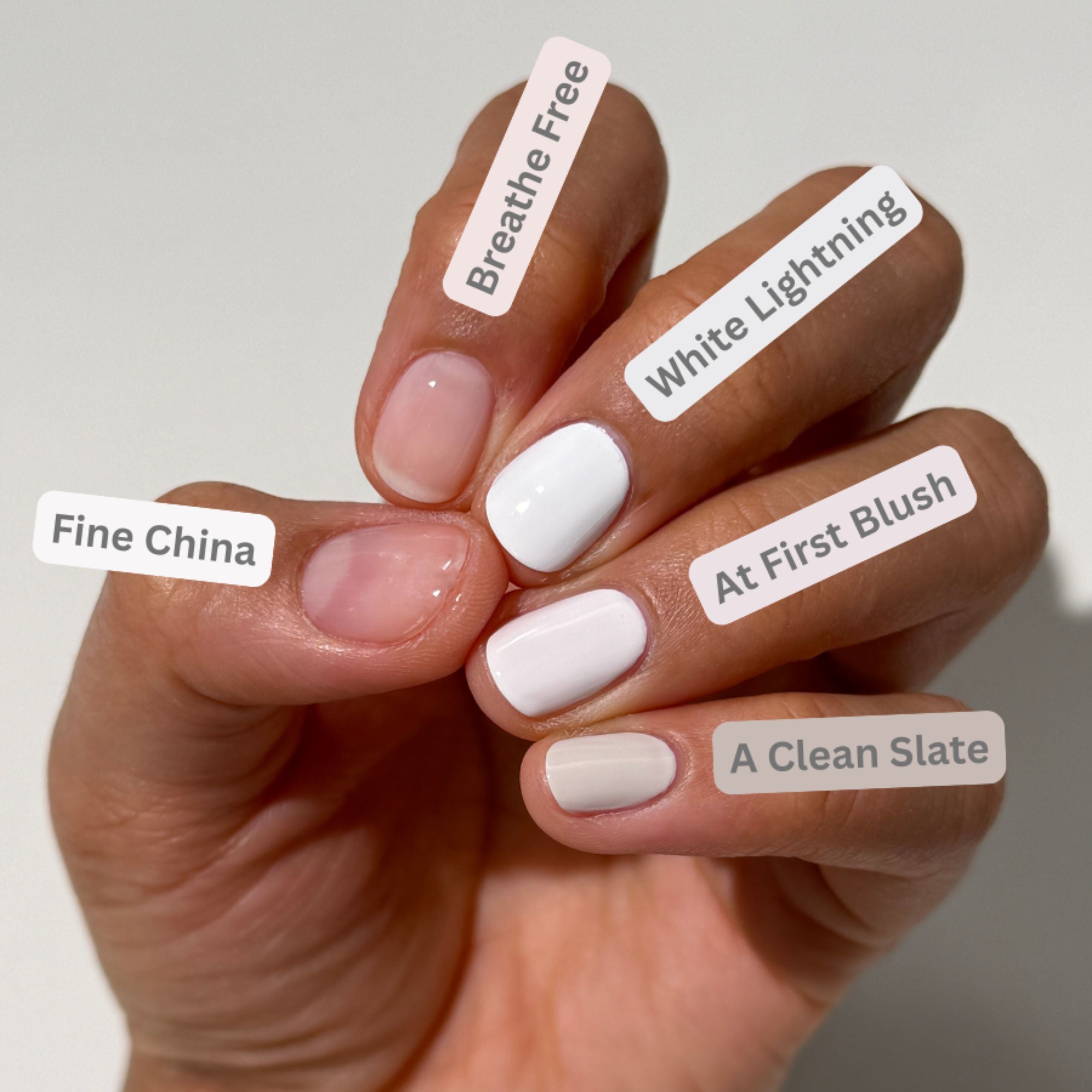 シルクモイスチャーカラー NA20 OC10のセット A Clean Slate - Nail Lacquer by Dazzle Dry | Romanticize Collection