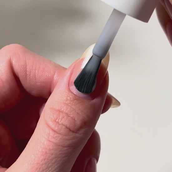 Fresh Start Swatch Video