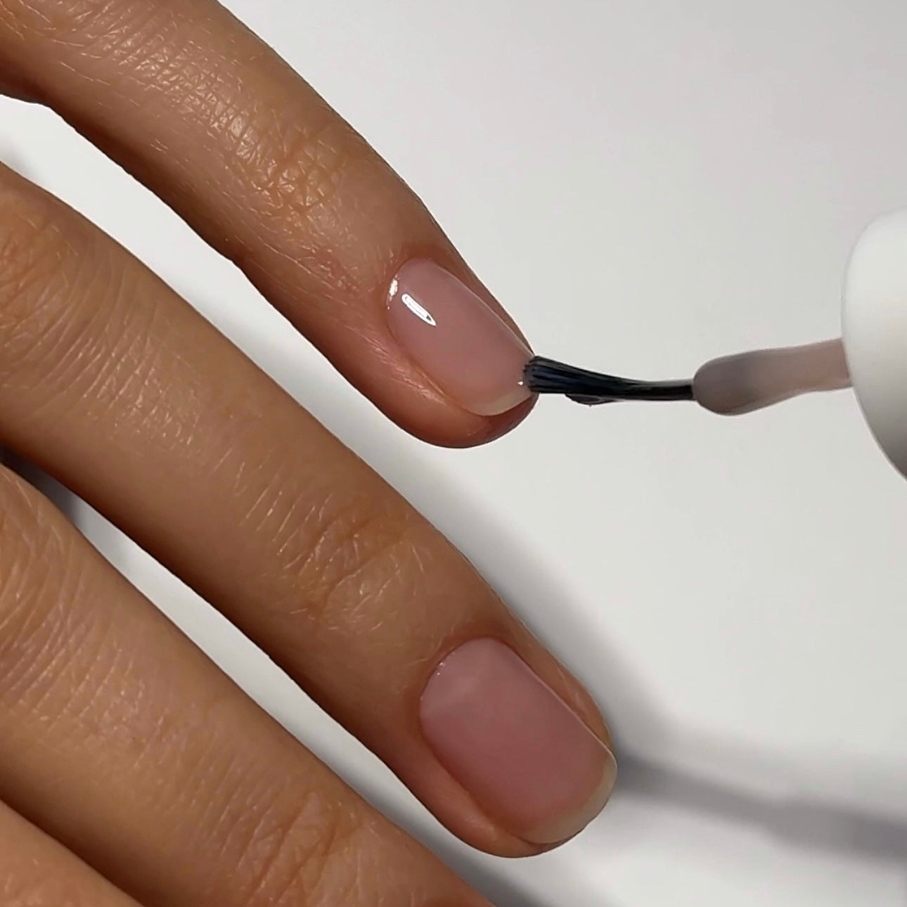 Chiffon Moment Mini Kit