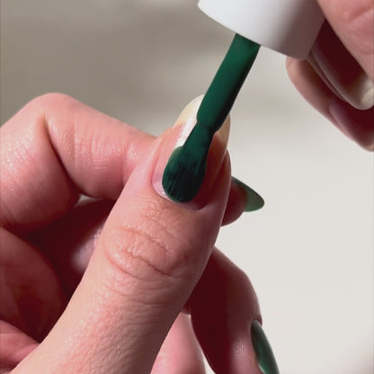 Don't Be Jaded Swatch Video