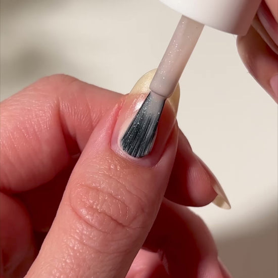 Wish Swatch Video