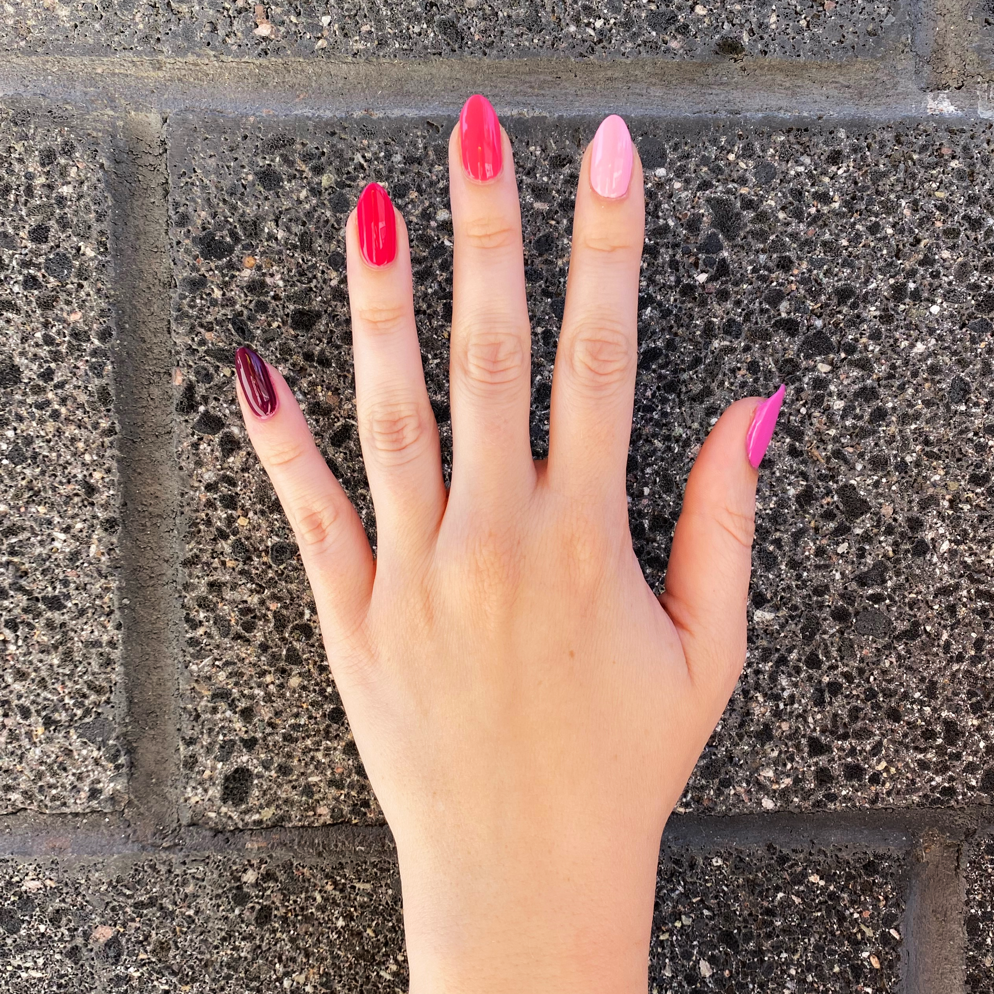 Coronado Mini Flight